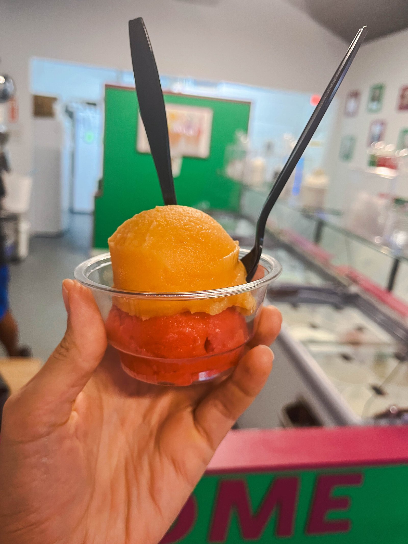 vegan Italian ice lakeland custard ice cream