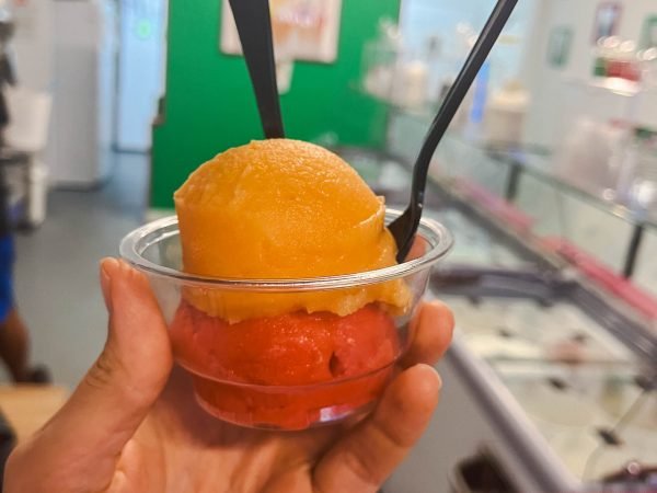 vegan Italian ice lakeland custard ice cream