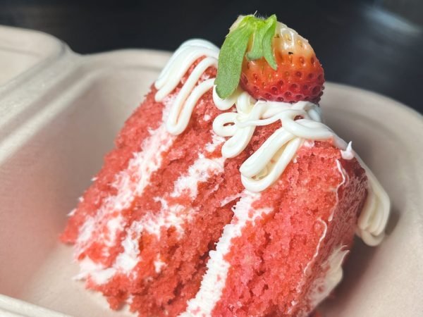 winter haven bakery vegan cake